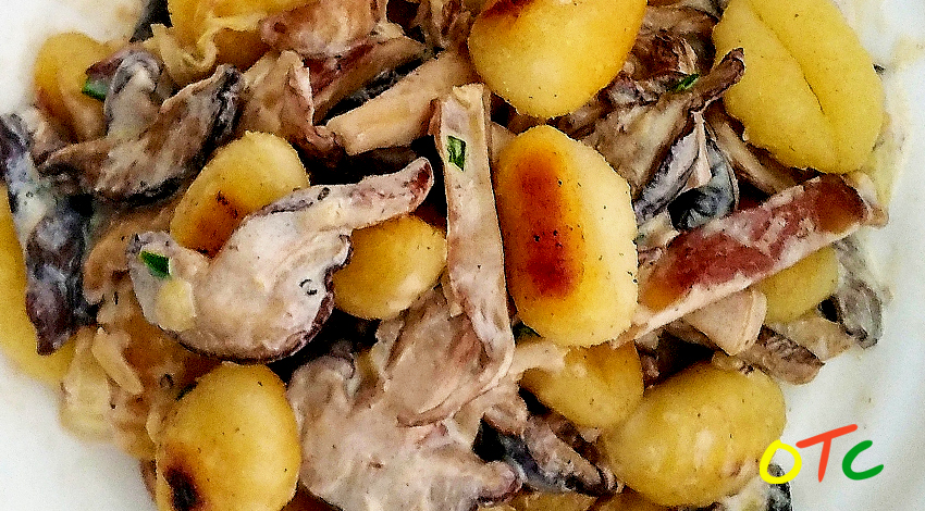 Whisky Cream Mushrooms and&nbsp;Gnocchi