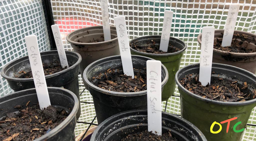 Getting the OTC Garden Ready