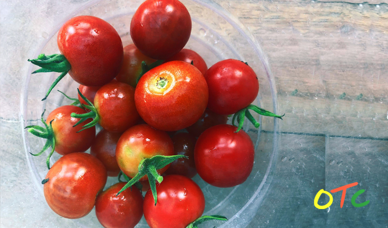5 Recipes to Preserve the Tomato&nbsp;Harvest